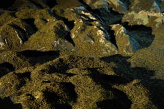 2018pgcantonrelief3.png